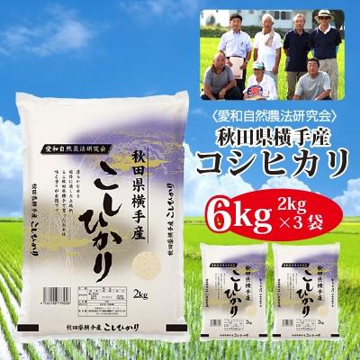 ふるさと納税 横手市 [令和7年産][愛和自然農法研究会]横手産コシヒカリ6kg(2kg×3袋)