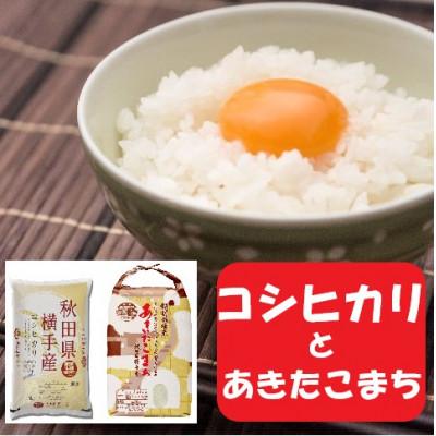 ふるさと納税 横手市 [令和7年産][愛和自然農法研究会]横手市産銘柄米厳選セット10kg(5kg×2袋)