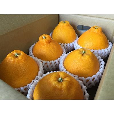 ふるさと納税 湯浅町 [まごころ手選別]和歌山産 不知火 (6玉×2箱、L〜2Lサイズ)[2027年2月より順次発送]