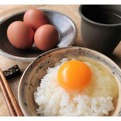 ふるさと納税 唐津市 七山たまご20個×2箱(M〜L)