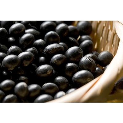 ふるさと納税 竜王町 令和7年産 丹波黒豆 1kg : Yahoo!ふるさと納税