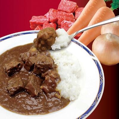 ふるさと納税 松田町 足柄牛カレー 200g×10個セット
