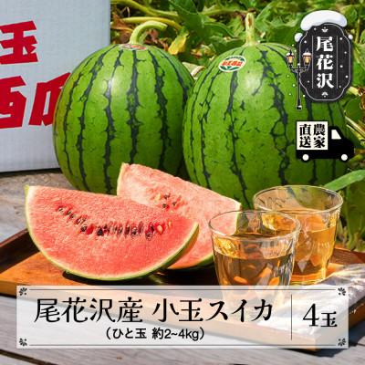 ふるさと納税 尾花沢市 [先行受付]尾花沢産小玉スイカ(約2〜4kg)×4玉 令和8年産 観光物産 kb-sukxx4-7b