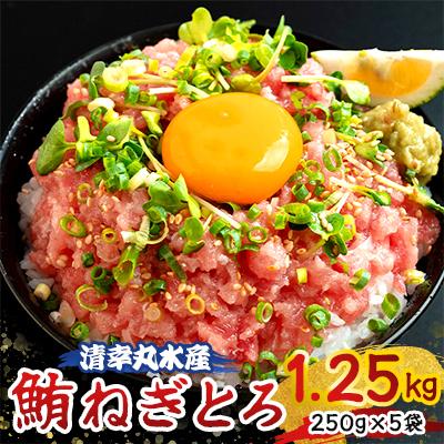 ふるさと納税 君津市 天然 まぐろ ねぎとろ 小分け 250g×5袋(合計1.25kg)