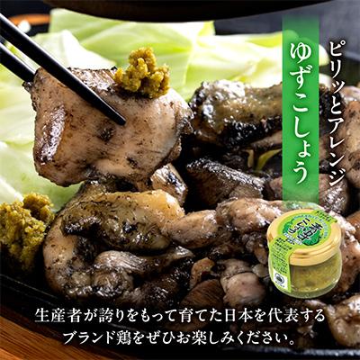 ふるさと納税 宮崎市 みやざき地頭鶏炭火焼 計450g(90g×5袋) |  | 01