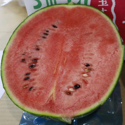 ふるさと納税 横手市 [秋田県横手市産]小玉すいか あきた夏丸チッチェ 4玉セット