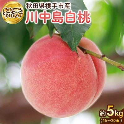ふるさと納税 横手市 [秋田県横手市産]白桃 特秀 15〜20玉(約5kg)
