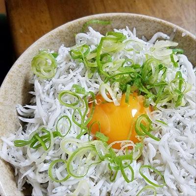 ふるさと納税 御坊市 釜あげしらす 900g×1箱