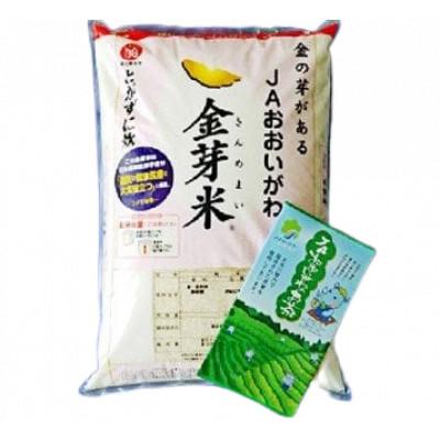 ふるさと納税 藤枝市 静岡県産　JAおおいがわ「金芽米5kg(無洗米)」・「JAおおいがわのお茶80g」セット |  | 01