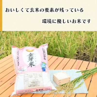 ふるさと納税 藤枝市 静岡県産　JAおおいがわ「金芽米5kg(無洗米)」・「JAおおいがわのお茶80g」セット |  | 03