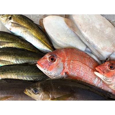 ふるさと納税 八幡浜市 竹中水産の「お手軽鮮魚ボックス約1.5キロ」![D22-232]