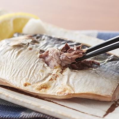 ふるさと納税 唐津市 &lt;唐津・昭徳&gt; 旬魚のひと塩切身