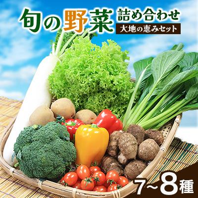 ふるさと納税 芝山町 [空の駅 風和里しばやま]旬野菜の詰め合わせ「大地の恵みセット」7〜8種