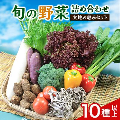 ふるさと納税 芝山町 旬野菜の詰め合わせ 「大地の恵みセット」 10種以上