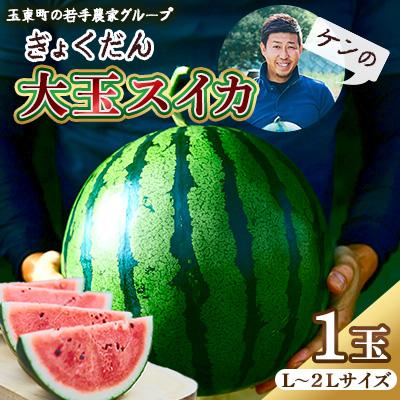 ふるさと納税 玉東町 [先行受付]玉東産 ぎょくだんケンの大玉スイカ (1玉、L〜2Lサイズ)