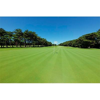 ふるさと納税 つくばみらい市 取手国際ゴルフ倶楽部〔土日祝1名プレー券地産お土産付〕東コース乗用セルフ