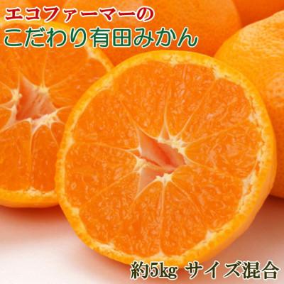 ふるさと納税 湯浅町 エコファーマーのこだわり有田みかん約5kg(サイズ混合)2025年11月中旬より順次発送(湯浅町)