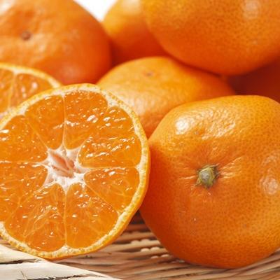 ふるさと納税 湯浅町 [厳選]紀州有田みかん5kg (S〜Lサイズおまかせ・秀品) 先行受付2026年11月中旬〜順次発送