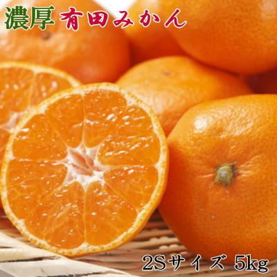 ふるさと納税 湯浅町 「先行受付2026年11月中旬より順次発送」[秀品]和歌山有田みかん約5kg(2Sサイズ)