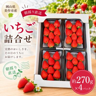ふるさと納税 美作市 [2027年1月発送開始][訳アリ]岡山県美作市産 いちご詰合せ(約270g×4パック)