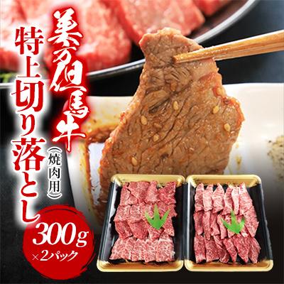 ふるさと納税 朝来市 但馬牛特上切り落とし 300g×2P(焼肉用)