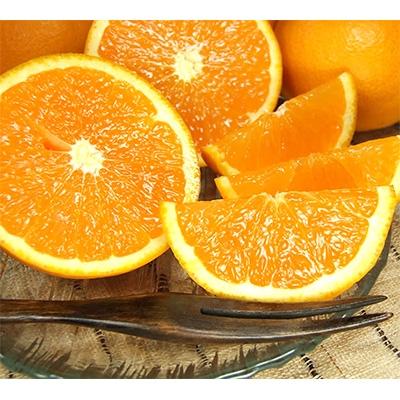 ふるさと納税 湯浅町 清見オレンジ[約5kg]和歌山県有田産春みかん(果実サイズおまかせ)