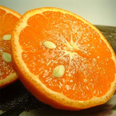 ふるさと納税 湯浅町 カラマンダリン[約2.8kg]和歌山県有田産春みかん(果実サイズおまかせ)