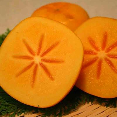ふるさと納税 和歌山市 和歌山産 たねなし柿 10kg (5kg ×2箱) |  | 02