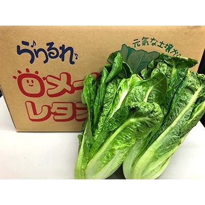 ふるさと納税 観音寺市 らりるれ「ロメインレタス」約5kg