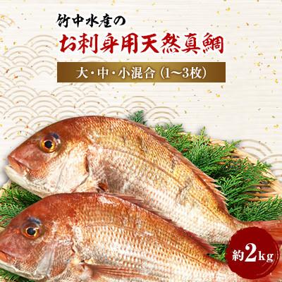 ふるさと納税 八幡浜市 竹中水産の「お刺身用天然真鯛」約2キロセット!(大、中、小混:1〜3枚)[D22-263]
