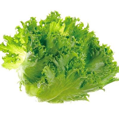 ふるさと納税 土浦市 エコ作野菜10個セット_1