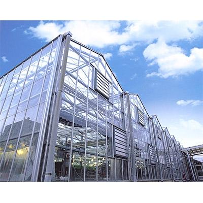 ふるさと納税 土浦市 エコ作野菜10個セット_3