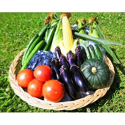 ふるさと納税 登米市 『つやま産直発!ときめきパック』 季節の野菜と加工品のセット