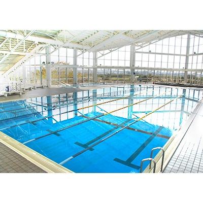 ふるさと納税 大野町 屋内温水プール回数券 障がい者・障がい者の介護者用(33枚綴り)