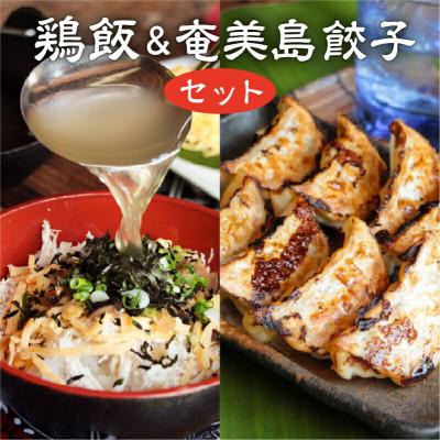 ふるさと納税 奄美市 奄美のおもてなし料理「鶏飯」&amp;こだわりの奄美島豚餃子セット