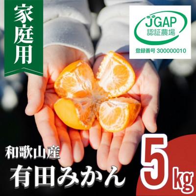 ふるさと納税 湯浅町 先行受付2026年11月より順次発送[まごころ手選別]有田みかん5kg家庭用