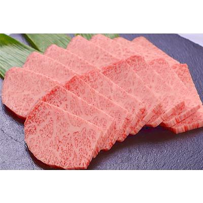 ふるさと納税 豊岡市 「但馬ビーフはまだ」極上但馬牛霜降り焼肉用[500g]