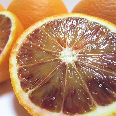 ふるさと納税 海南市 [高級柑橘]和歌山県産 濃厚ブラッドオレンジ「タロッコ」 約3kg