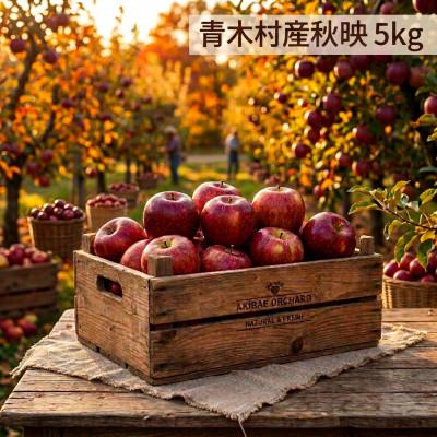 ふるさと納税 青木村 長野県青木村産りんご(秋映)1箱(5kg)