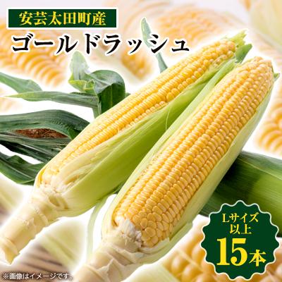 ふるさと納税 安芸太田町 [期間限定]安芸太田町産とうもろこし(ゴールドラッシュ) Lサイズ以上15本!
