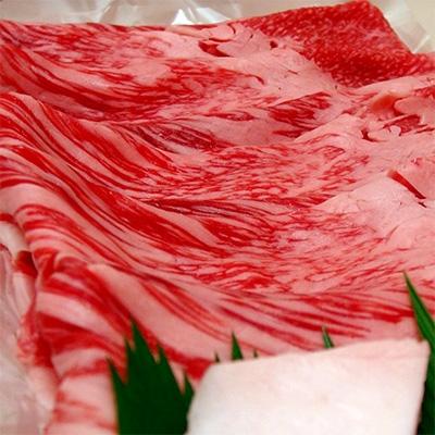 ふるさと納税 大田原市 大田原牛 [極上]すきしゃぶ用切り落とし肉 (約500g)