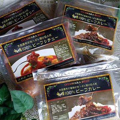 ふるさと納税 大田原市 大田原牛 100% ビーフカレー&amp;ビーフシチュー 詰め合わせ 各2パックセット