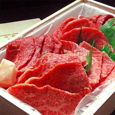 ふるさと納税 大田原市 大田原牛 極上霜降りと濃厚赤身部位のお任せ[焼肉詰め合わせ](約500g)
