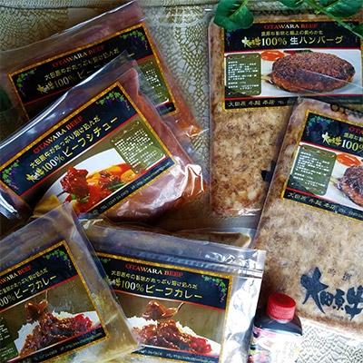 ふるさと納税 大田原市 [2名様用]大田原牛 ハンバーグ カレー シチュー詰め合わせ