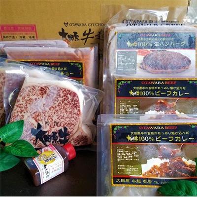 ふるさと納税 大田原市 [2名様用]大田原牛 特上ロースステーキ2枚、ハンバーグ、カレー、シチュー、各2パックセット