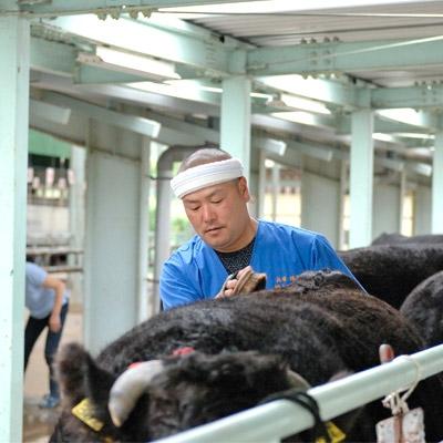 ふるさと納税 豊岡市 珠玉の但馬牛“但馬玄(たじまぐろ)”　切り落とし約1kg |  | 01