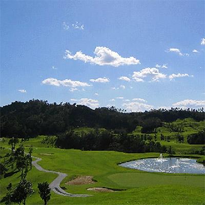 ふるさと納税 日高村 グリーンフィールゴルフ倶楽部 平日セルフプレー券 ゴルフ場利用券(平日券1枚・1名様分)