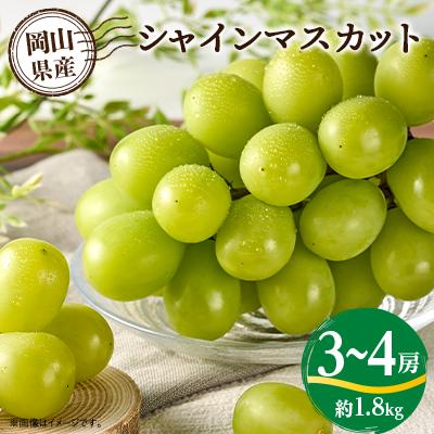 ふるさと納税 真庭市 岡山県真庭市 岡山産直工房 シャインマスカット (3〜4房) 1.8kg