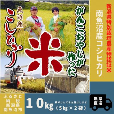 ふるさと納税 南魚沼市 [令和7年産新米]特別栽培米 がんこおやじが作った南魚沼産コシヒカリ 10kg(5kg×2袋)