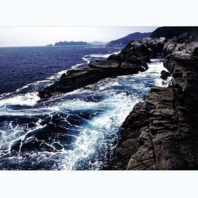 ふるさと納税 釜石市 湯通し塩蔵【三陸わかめ】大量2kg |  | 01